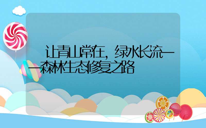  让青山常在，绿水长流——森林生态修复之路